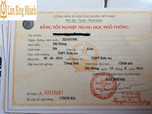 Có bằng tốt nghiệp THPT làm được những gì ?