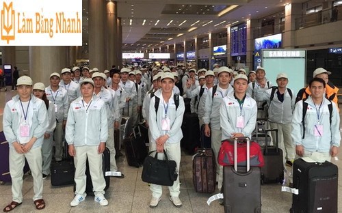 Điều kiện đi xuất khẩu lao động chỉ cần bằng tốt nghiệp THPT