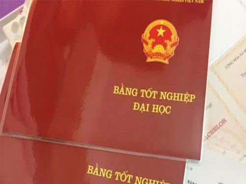 Làm Bằng Đại Học Liên Thông Hay Chính Quy ? Nên Chọn Loại Nào ?