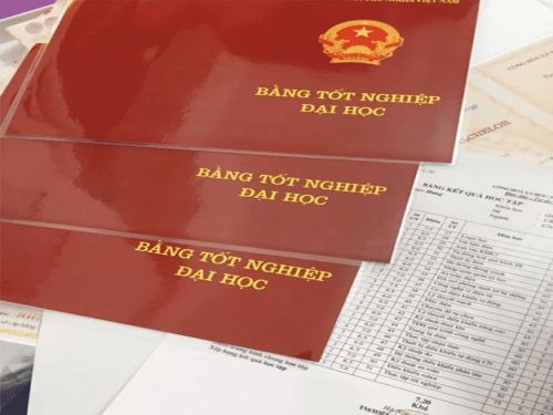 Làm Bằng Đại Học Liên Thông Hay Chính Quy ? Nên Chọn Loại Nào ?