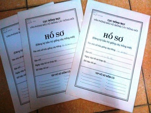 Làm Bằng Trung Cấp Có Hồ Sơ Gốc Tại Trường An Toàn Và Uy TÍn
