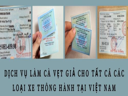 Làm Cavet Xe Giả Phôi Thật 100% Giá Chỉ 1-2 Triệu