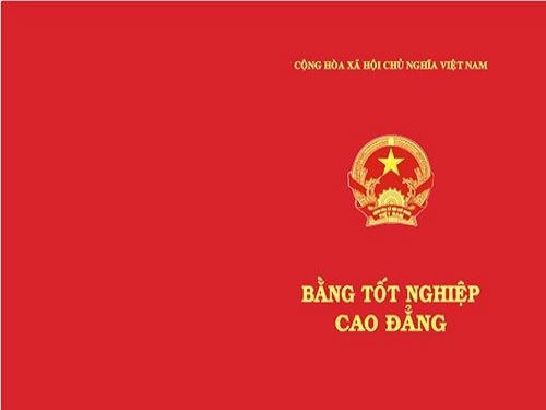 Mất Bằng Cao Đẳng ? Hướng Dẫn Làm Lại Bằng Cao Đẳng Nhanh