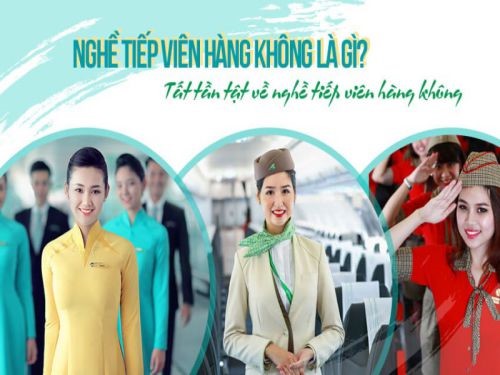Tiếp Viên Hàng Không Có Cần Bằng Đại Học Không, Điều Kiện Là Gì ?
