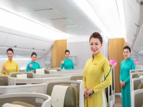 Tiếp Viên Hàng Không Có Cần Bằng Đại Học Không, Điều Kiện Là Gì ?
