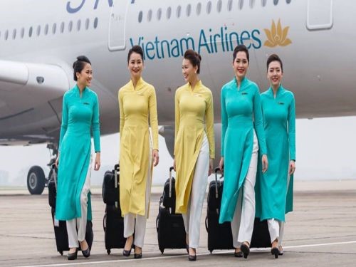 Tiếp Viên Hàng Không Có Cần Bằng Đại Học Không, Điều Kiện Là Gì ?