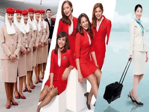 Tiếp Viên Hàng Không Có Cần Bằng Đại Học Không, Điều Kiện Là Gì ?