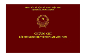 Làm Chứng Chỉ Sư Phạm Phôi Thật 100% Tại Làm Bằng Nhanh