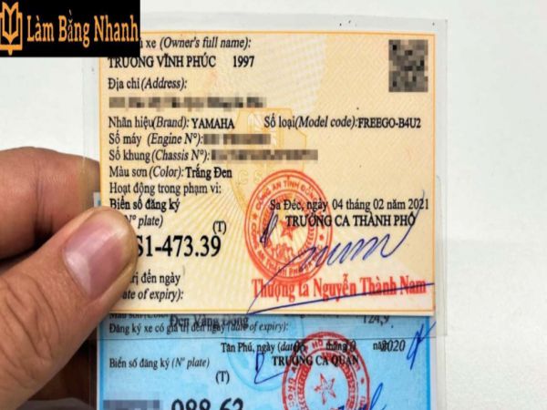 Sử dụng cà vẹt xe làm giả có sao không ?