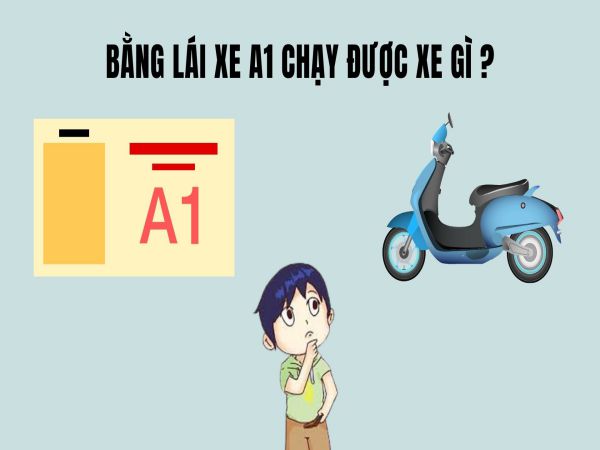 Bằng Lái Xe Các Hạng Chạy Được Xe Gì? - Bao Xin Việc