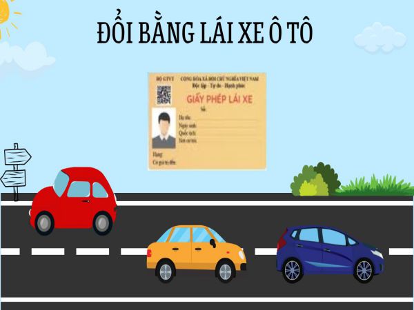 Hướng Dẫn Cách Đổi Bằng Lái Xe Ô Tô Đúng Quy Định Năm 2025