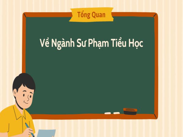 Sư Phạm Tiểu Học Lấy Bao Nhiêu Điểm? Thông Tin Tuyển Sinh Chi Tiết Năm 2025
