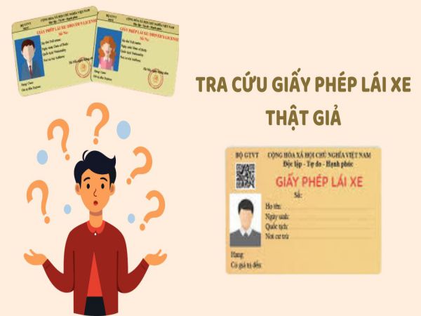 Cách Tra Cứu Giấy Phép Lái Xe Thật Giả Chính Xác Năm 2025